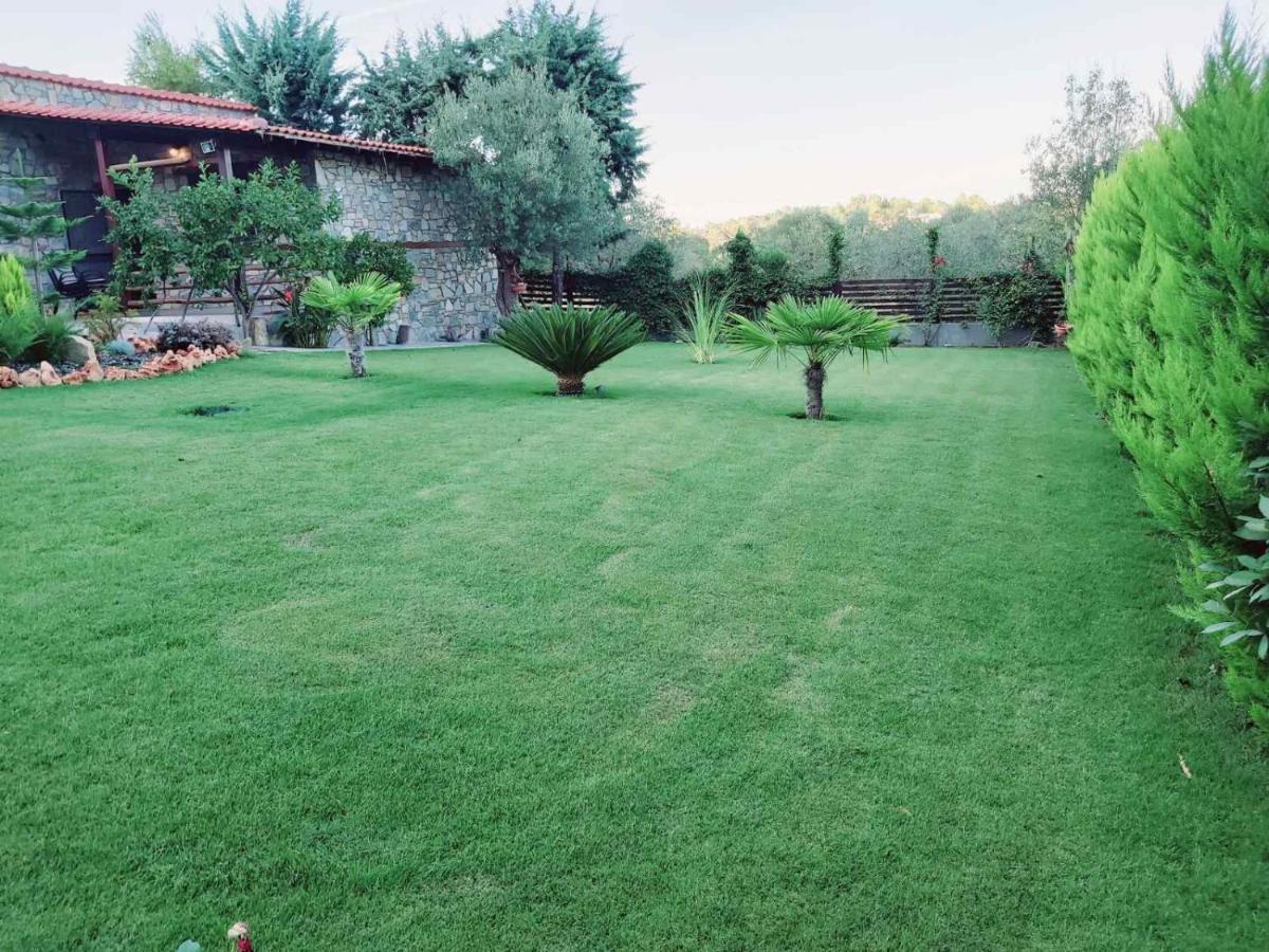 Dimitris' Villas - Villa 3 Órmos Panajías Eksteriør bilde